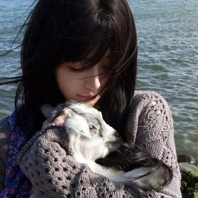 猛龙铁金刚